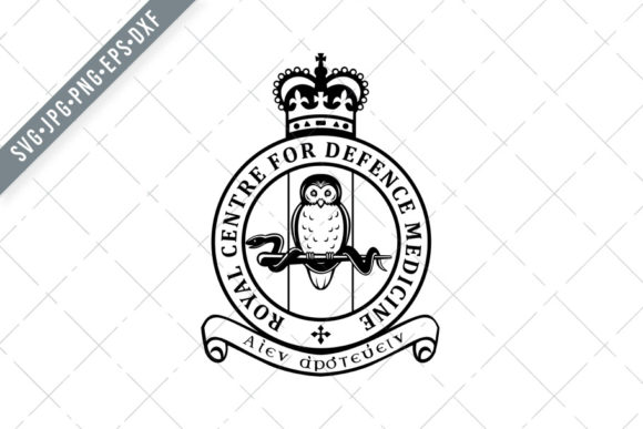 Royal Centre for Defence Medicine RCDM Graphics