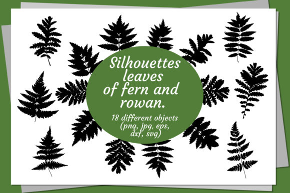 Silhouettes Leaves of Fern and Rowan - A Crafts Graphic Asset for Branding